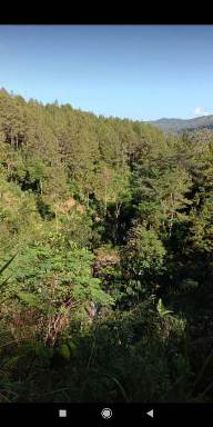 HUTAN SEBAGAI PENYANGGA  TANAH DAN AIR