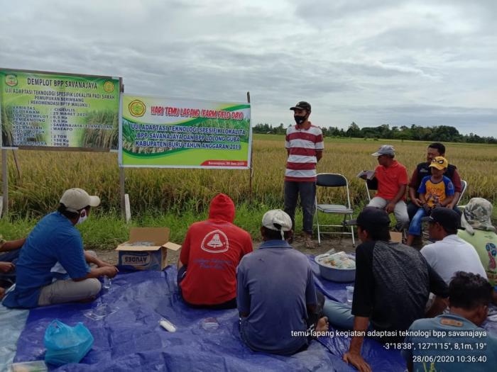 KEGIATAN UJI ADAPTASI TEKNOLOGI SPESIFIK LOKALITA PADI SAWAH  SISTEM TANAM JAJAR LEGOWO DAN PEMUPUKAN BERIMBANG