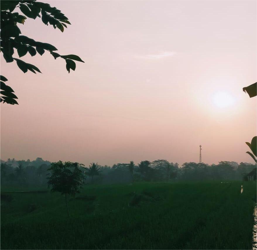 Menulis Pengalaman Penyuluh