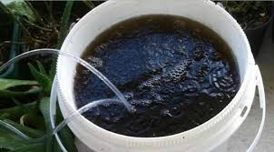 Pembuatan Pupuk Organik