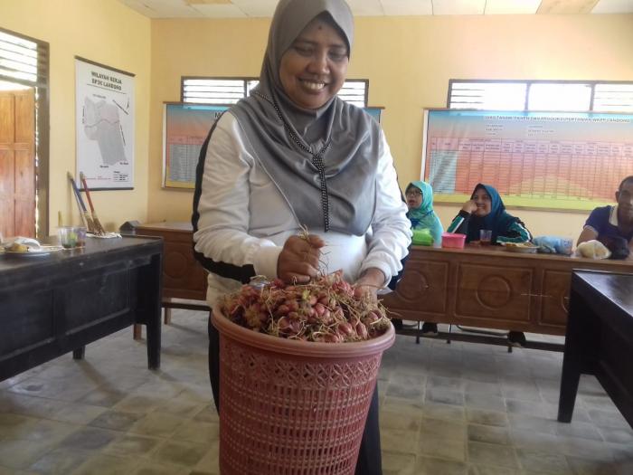 Motivasi dari Perayaan HPS ke-39 Uji coba Budidaya Bawang merah di lahan BPP Landono