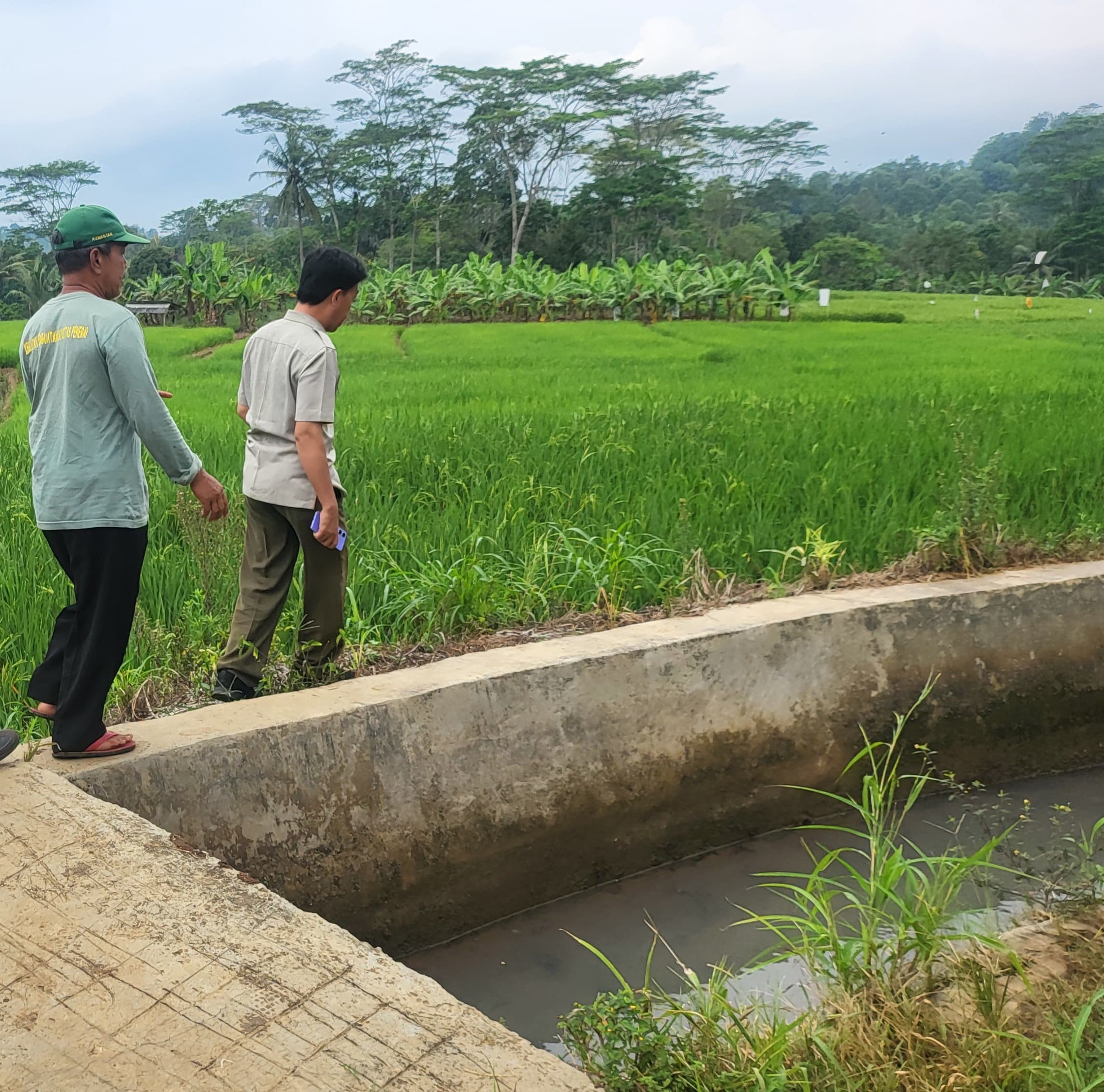 Peran Jaringan Irigasi dalam Meningkatkan Produktivitas Pertanian