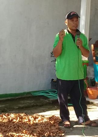 TEHNIK PEMUPUKAN TANAMAN JAHE MERAH