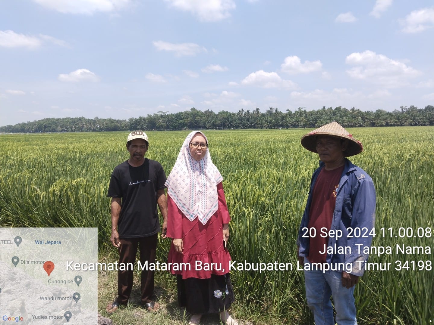 SNI 8969:2021, Cara Budidaya Tanaman Pangan yang Baik