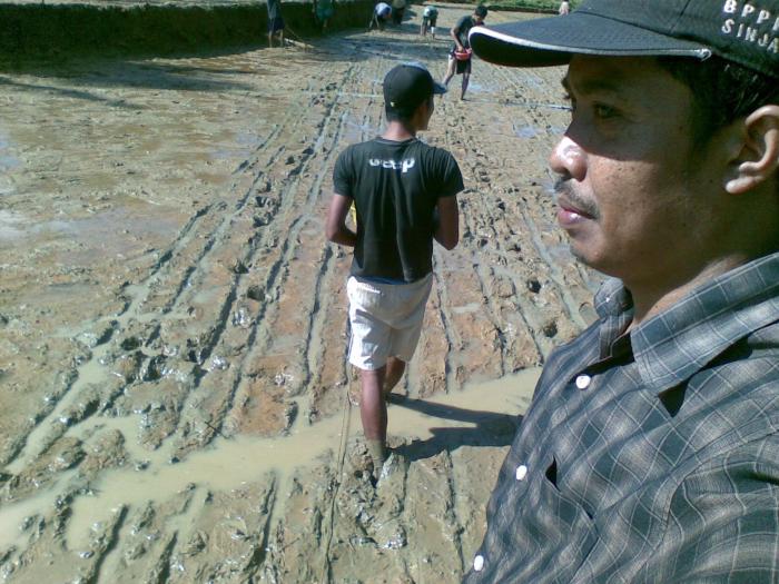 INOVASI TEKNOLOGI  BUDIDAYA PADI TANAM BENIH LANGSUNG (TABELA) SUPER