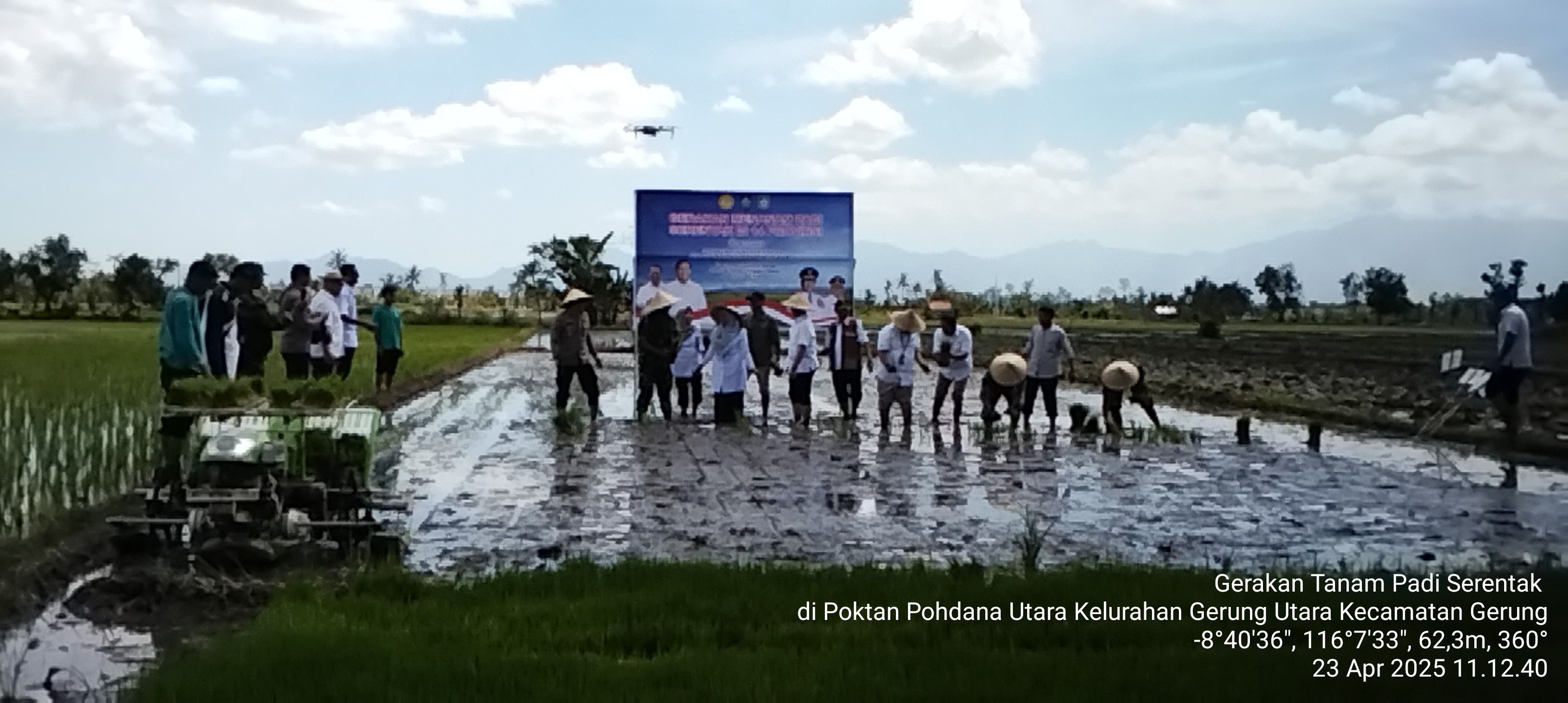 Tanam Padi Serentak Digelar di 14 Provinsi, NTB Dukung Penuh Swasembada Pangan Nasional