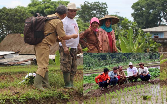PENYULUH PERTANIAN SIAP MENDAMPINGI PETANI UNTUK EKSPOR