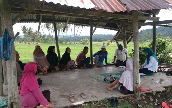 Petani Melek E-marketing