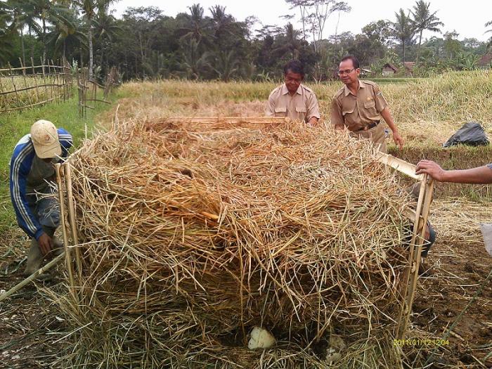 Membuat Pupuk Kompos atau Pupuk Organik 
