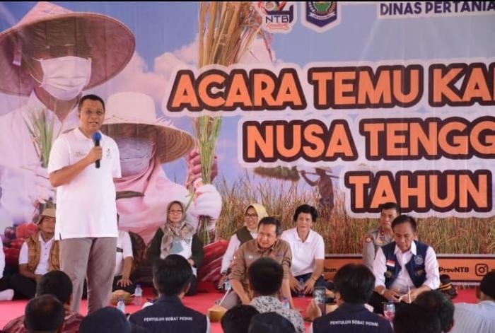 Ntb Masuk Lumbung Pangan Nasional, Karena Kinerja Penyuluh Pertanian