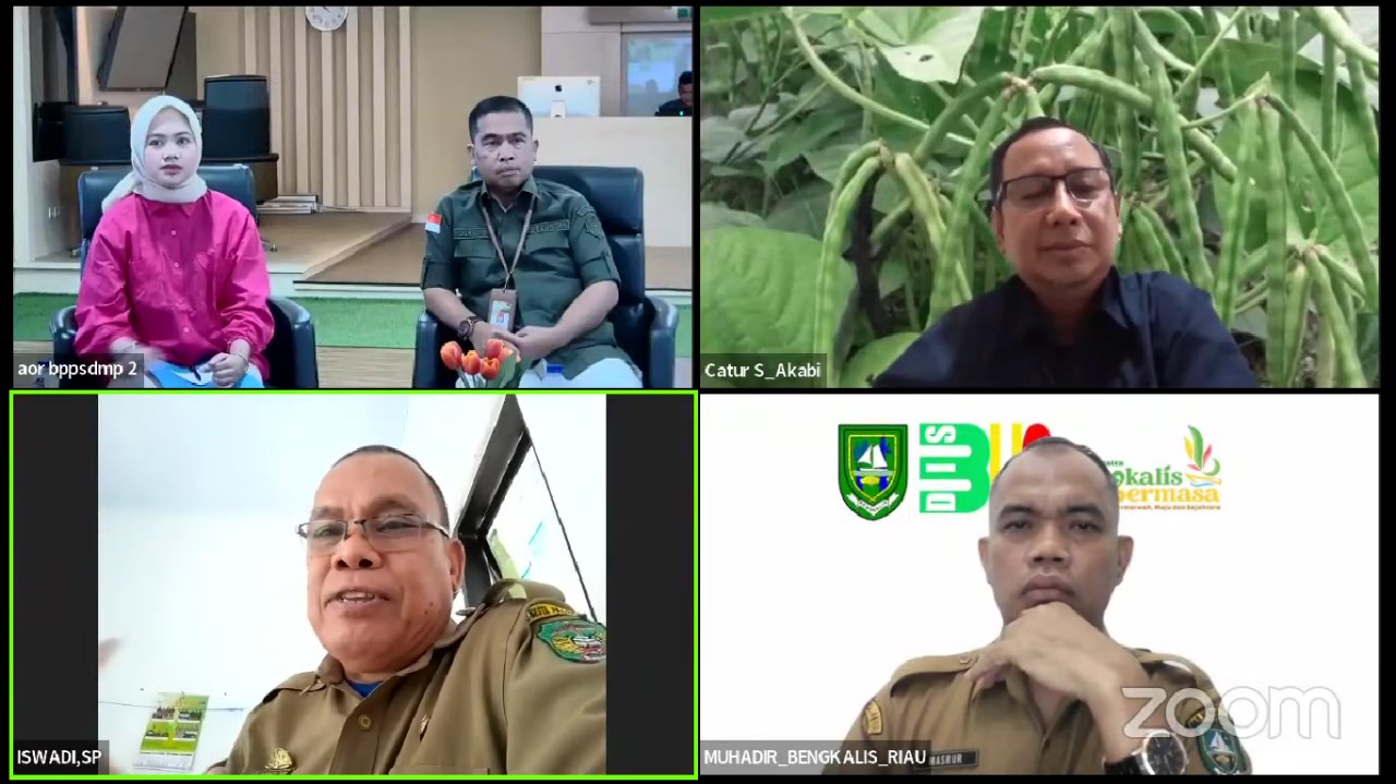 Penuhi Kebutuhan Pangan, Kementan Anjurkan Masyarakat Diversifikasi Pangan