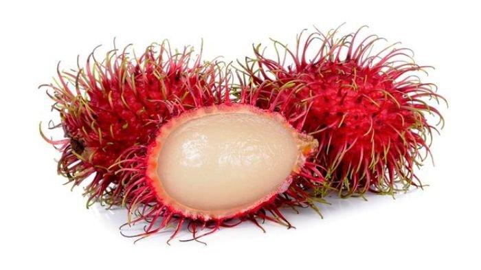 MEMPERTAHANKAN MUTU RAMBUTAN DENGAN MEMPERHATIKAN  CARA PANEN DAN PASCAPANEN YANG TEPAT 
