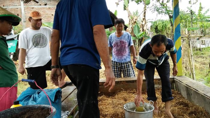 Cara Membuat Pupuk Bokashi Jerami