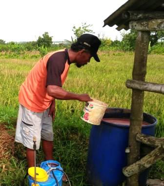 Teknik Pembuatan Pupuk Organik Cair Sederhana