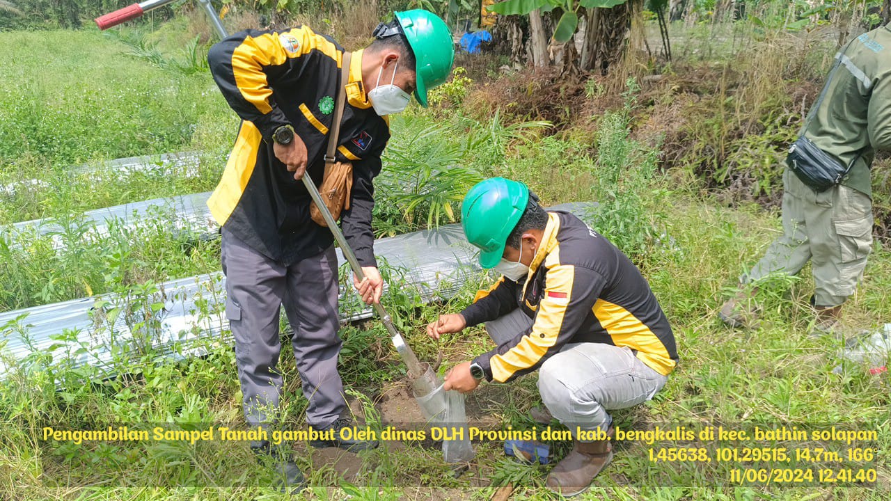 DINAS LINGKUNGAN HIDUP KABUPATEN BENGKALIS MELAKUKAN PENGECEKAN KANDUNGAN DARI BERBAGAI JENIS DAN STRUKTUR TANAH DI LAHAN PETANI YANG ADA DI KECAMATAN BATHIN SOLAPAN.