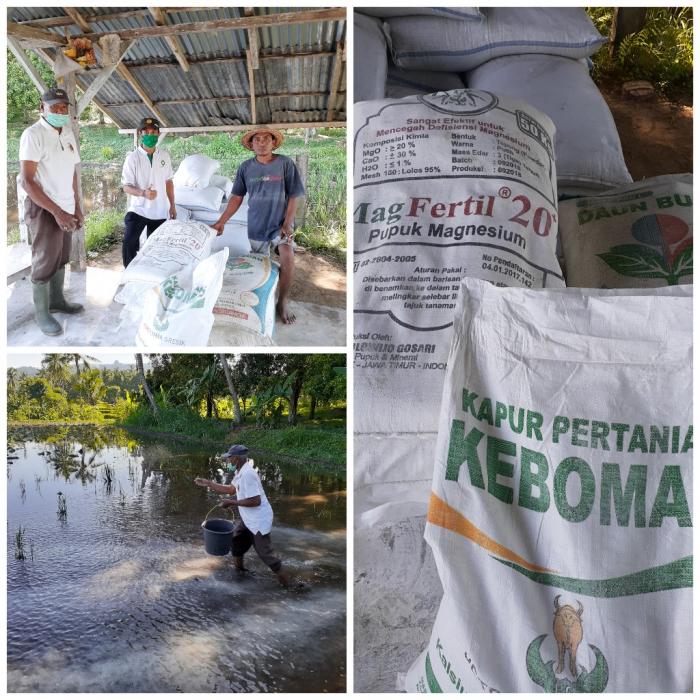 MANFAAT PENGAPURAN PADA LAHAN PERTANIAN