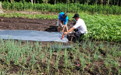 PENUMBUHAN DAN PENGEMBANGAN KUB PEMUDA/PETANI MUDA