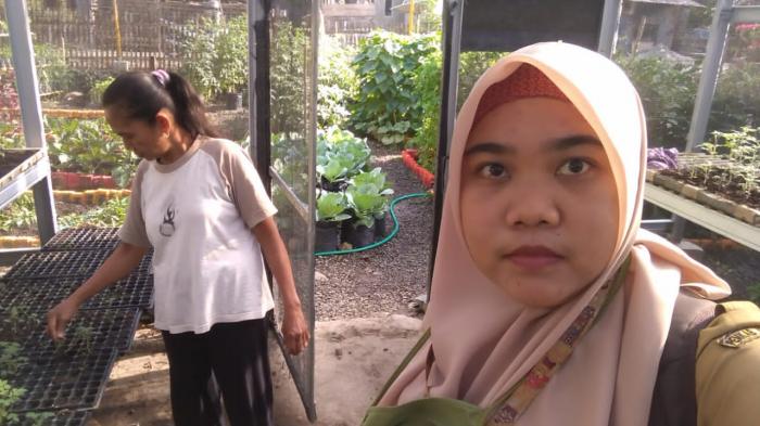 Monitoring Kebun Demplot KWT Melati Kel.Gantarangkeke Kec.Gantarangkeke Kab.Bantaeng