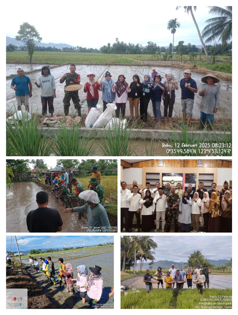 PPL BPP Bulango Selatan, Petani dan TNI Kawal Program Swasembada Pangan Dalam Mendorong LTT (Luas Tambah Tanam) Padi Sawah Dengan LBS 308 Ha