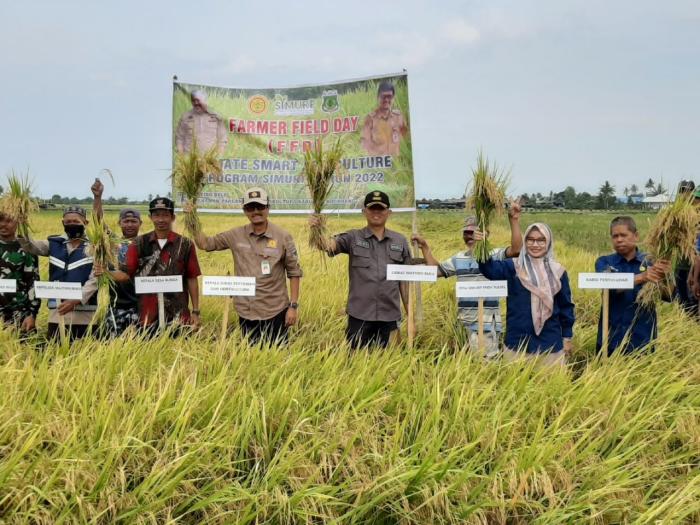 Gelar FFD Program CSA Kementan, Petani Pinrang Optimis Tingkatkan Produktivitas