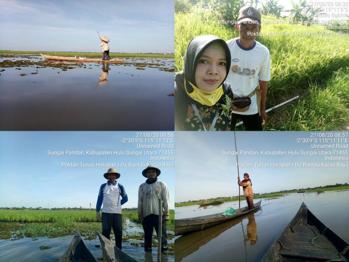 Monitoring Luas Tanam dan Keadaan Sawah Desa Rantau Karau Raya Kec. Sungai Pandan Kab. HSU