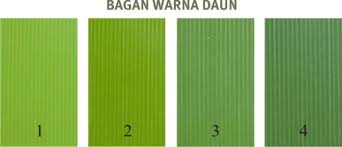 KARAKTER SERTA ESENSI DARI PETANI KECIL