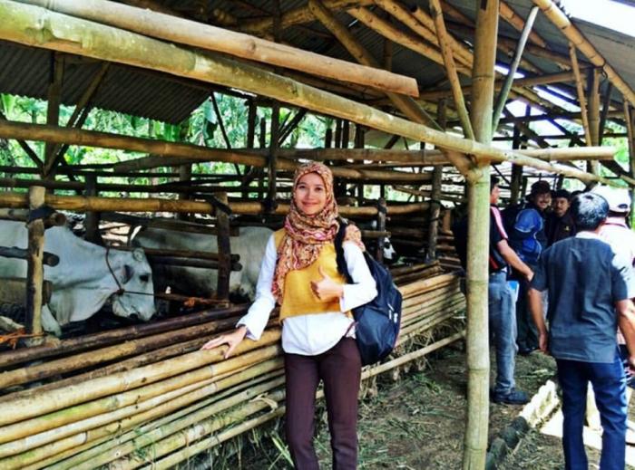 TATA LAKSANA PEMELIHARAAN SAPI POTONG