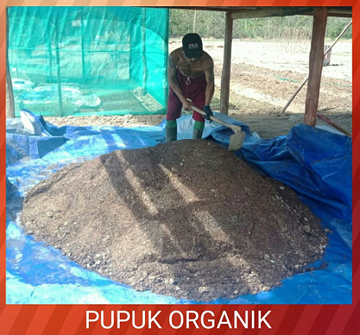 CARA MUDAH MEMBUAT BOKASHI PUPUK KANDANG 