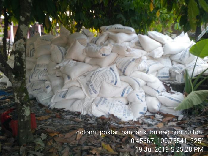 Pengapuran Dolomit Untuk Tanah Sawah