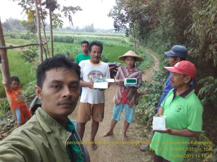 Pengendalian Hama Tikus Poktan Margo Mulyo Desa Gedangan Kec. Karangrejo, Tulungagung