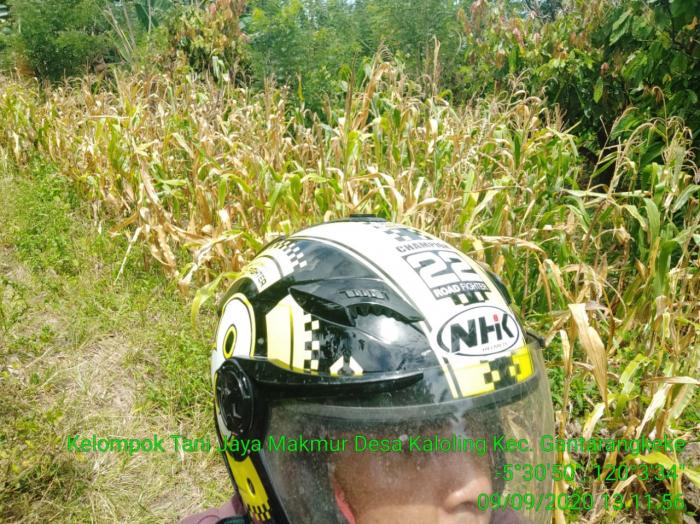 Kunjungan Ke Hamparan Kelompok Tani Jaya Makmur Desa Kaloling Kec.Gantarangkeke Kab.Bantaeng