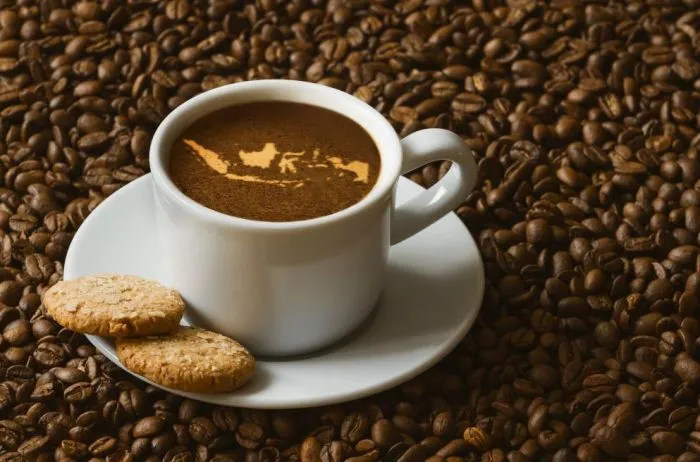 MERUBAH MANGGIS MENJADI EMAS