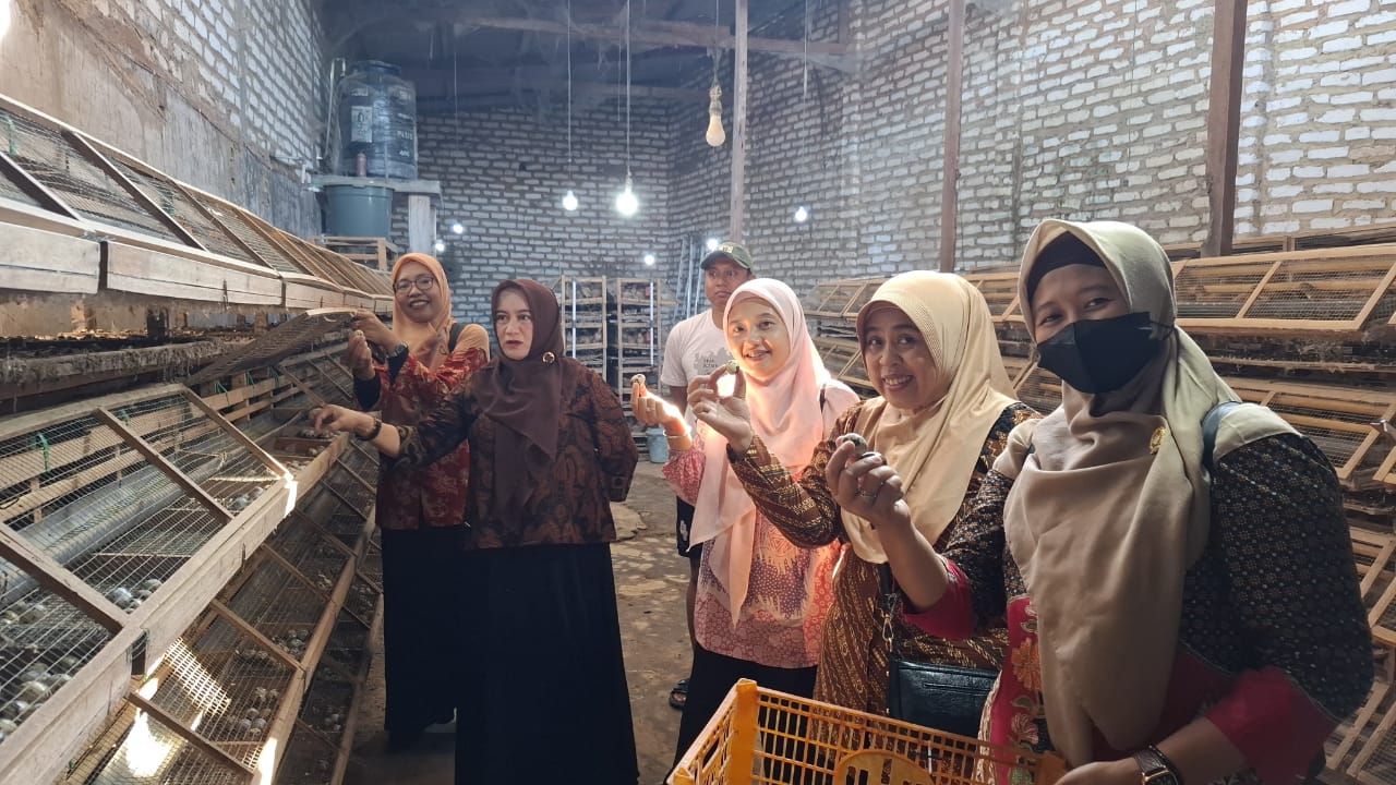 KISAH INSPIRATIF MILLENIAL, SUKSES BUDIDAYA PUYUH