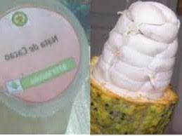 PEMANFAATAN LIMBAH PULP SEBAGAI NATA DE COCO