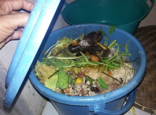 Suburkan Tanaman Dengan  Pupuk Organik Dari Limbah Dapur