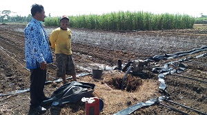 Cara Membuat Pengairan   Sistim Infus Pada Tanaman Bawang Merah