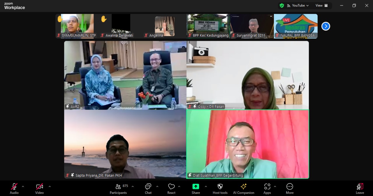 Tingkatkan Produktivitas Susu dan Daging, Kementan Terapkan Manajemen Pakan