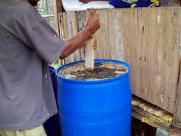 Cara Membuat Pupuk Cair dari Kotoran Kambing dengan Mudah