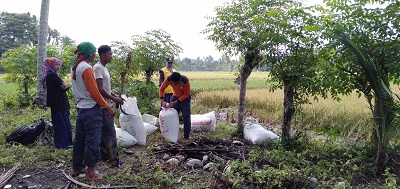PENANGANAN PASCA PANEN PADI