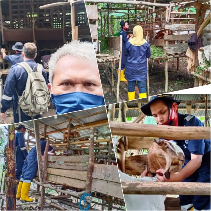 PELAYANAN KESWAN SECARA MASSAL TERNAK KAMBING DI WKPP MASINGAI