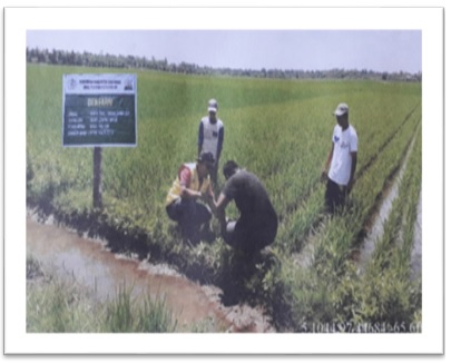 Kegiatan Demfarm Kecamatan Tanah Jambo Aye