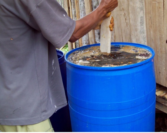 Teknologi Aplikasi Bio Urine Dalam Budidaya Tanaman