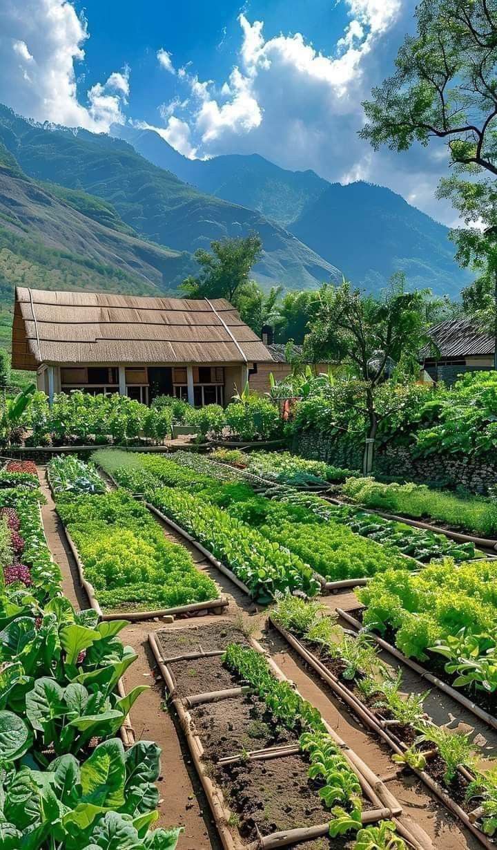 Serba-serbi Honey Process, Kopi Madu