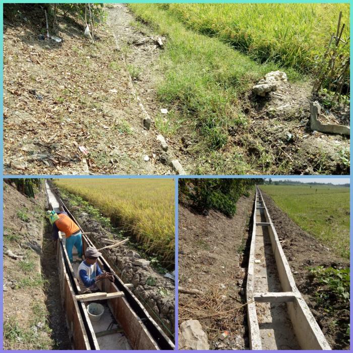 Rehabilitasi Jaringan Irigasi Tersier: Memperbaiki Infrastruktur Demi Kesejahteraan Petani
