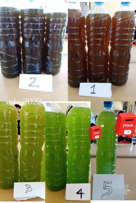 Sosialisasi Biosaka di Kota Dumai Provinsi Riau