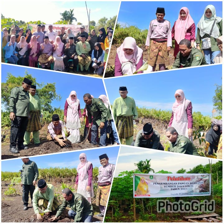 DINAS KETAHANAN PANGAN KABUPATEN BENGKALIS, MELAKSANAKAN PELATIHAN PENGEMBANGAN PANGAN BERBASIS SUMBER DAYA LOKAL DI KWT BANGUN SARI DESA PEDEKIK KEC. BENGKALIS