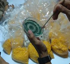 CARA PROSES PEMBUATAN DAN PERBANYAKAN TRICODERMA