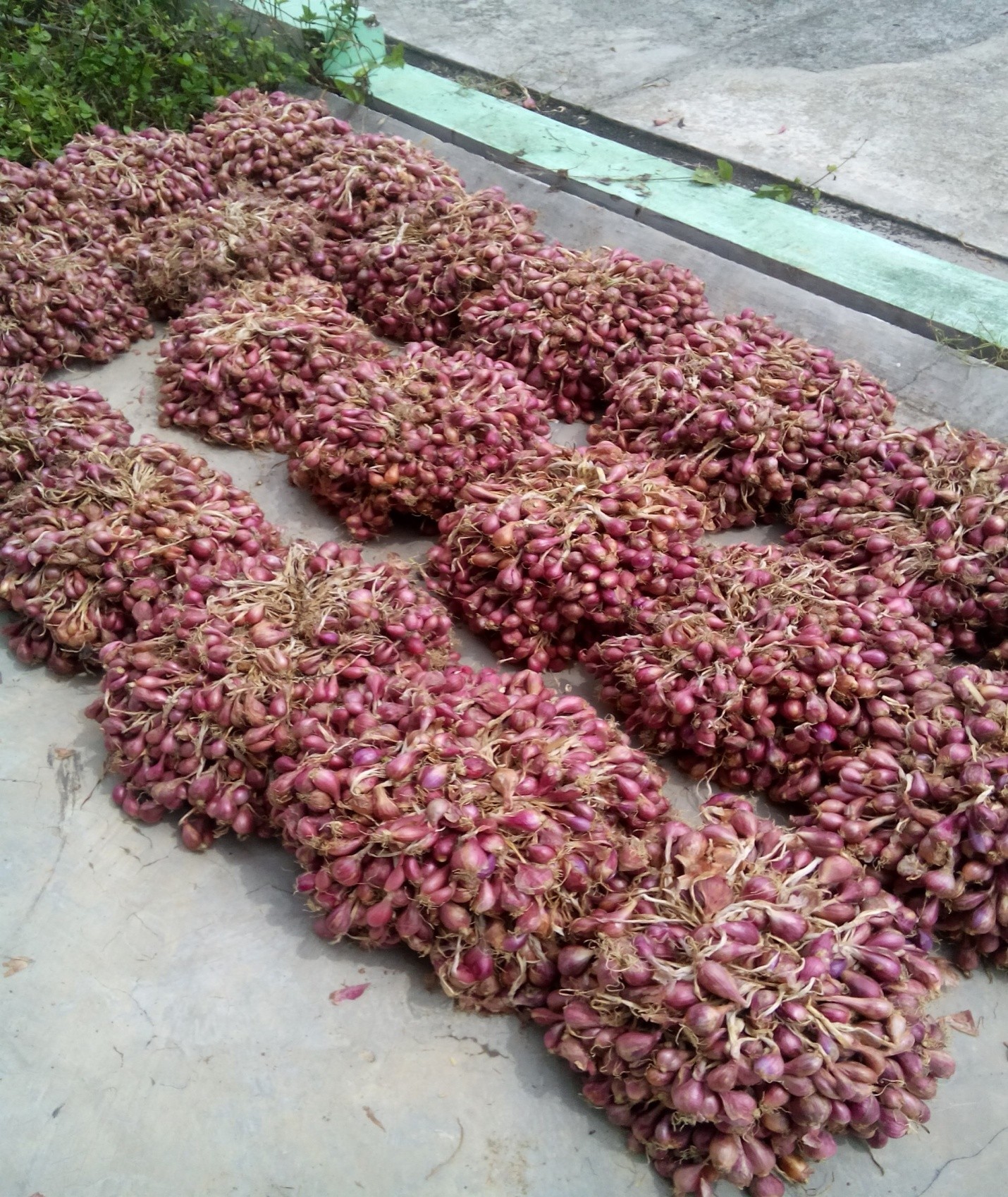 STRATEGI PENCEGAHAN DAN PENANGGULANGAN KERUSAKAN TANAH  PADA LAHAN PERKEBUNAN