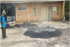 Biochar atau arang dan manfaatnya