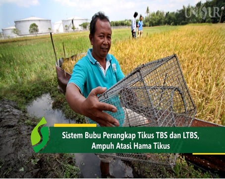 MEMBUAT PERANGKAP TIKUS DARI BAMBU